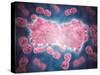 Microscopic View of a Group of Leukemia Cell-null-Stretched Canvas