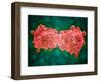 Microscopic View of a Leukemia Cell-null-Framed Art Print