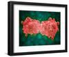 Microscopic View of a Leukemia Cell-null-Framed Art Print