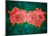 Microscopic View of a Leukemia Cell-null-Mounted Art Print