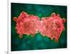 Microscopic View of a Leukemia Cell-null-Framed Art Print