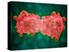 Microscopic View of a Leukemia Cell-null-Stretched Canvas