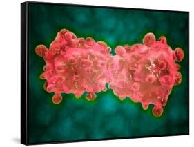 Microscopic View of a Leukemia Cell-null-Framed Stretched Canvas