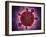 Microscopic View of a Microbe-null-Framed Art Print