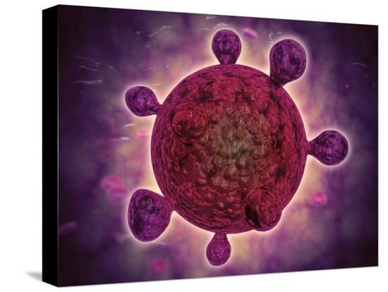 Stretched Canvas Print, , large