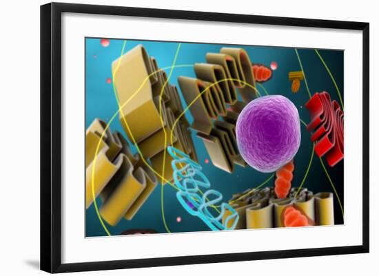 Microscopic View of Animal Cell Nucleus-null-Framed Art Print