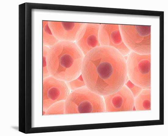 Microscopic View of Animal Cell-null-Framed Art Print