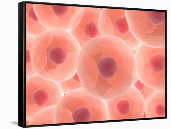 Microscopic View of Animal Cell-null-Framed Stretched Canvas