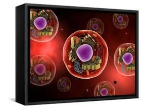 Microscopic View of Animal Cell-null-Framed Stretched Canvas