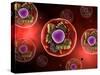 Microscopic View of Animal Cell-null-Stretched Canvas