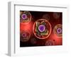 Microscopic View of Animal Cell-null-Framed Art Print