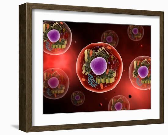 Microscopic View of Animal Cell-null-Framed Art Print