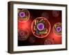 Microscopic View of Animal Cell-null-Framed Art Print