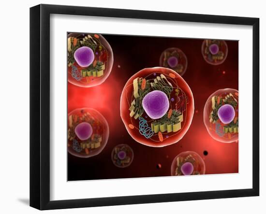 Microscopic View of Animal Cell-null-Framed Art Print