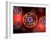 Microscopic View of Animal Cell-null-Framed Art Print