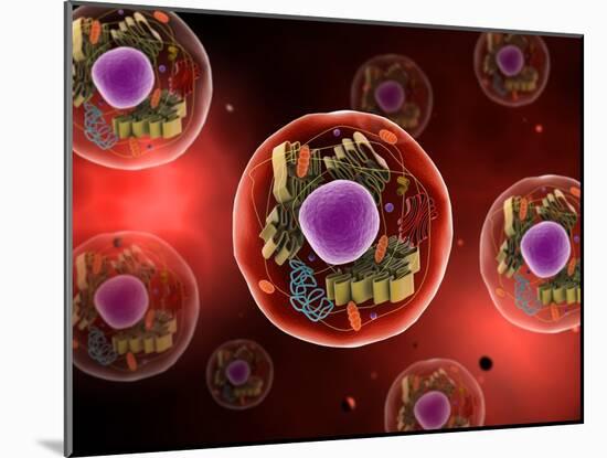 Microscopic View of Animal Cell-null-Mounted Art Print