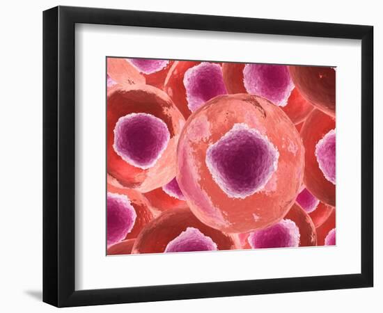 Microscopic View of Animal Cell-null-Framed Art Print