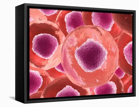 Microscopic View of Animal Cell-null-Framed Stretched Canvas