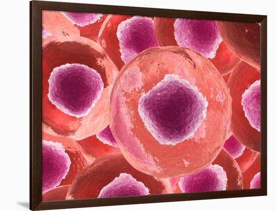 Microscopic View of Animal Cell-null-Framed Art Print