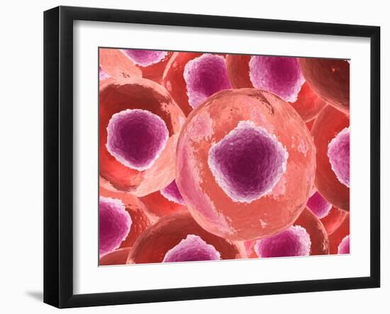 Microscopic View of Animal Cell-null-Framed Art Print