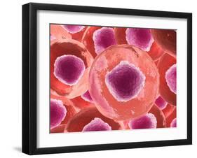 Microscopic View of Animal Cell-null-Framed Art Print