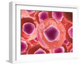 Microscopic View of Animal Cell-null-Framed Art Print