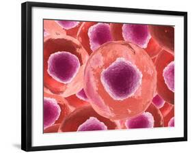 Microscopic View of Animal Cell-null-Framed Art Print