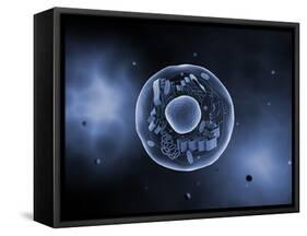 Microscopic View of Animal Cell-null-Framed Stretched Canvas