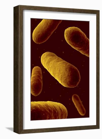 Microscopic View of Bacteria-null-Framed Art Print