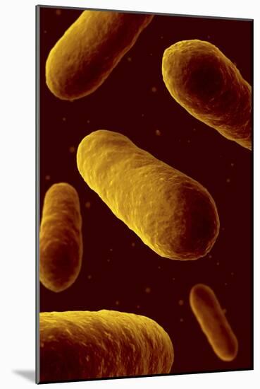 Microscopic View of Bacteria-null-Mounted Art Print