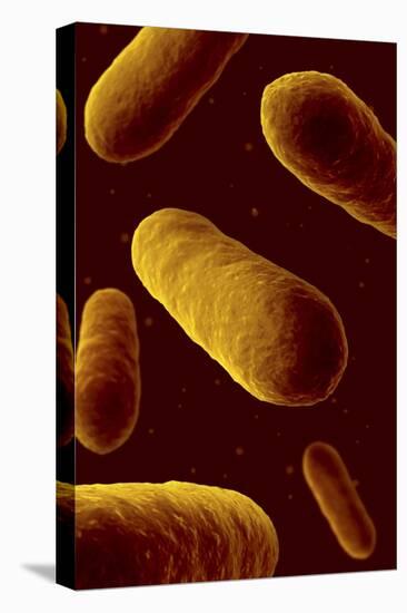 Microscopic View of Bacteria-null-Stretched Canvas