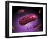 Microscopic View of Bacteria-null-Framed Art Print