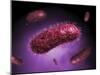 Microscopic View of Bacteria-null-Mounted Art Print