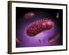 Microscopic View of Bacteria-null-Framed Art Print