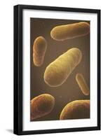 Microscopic View of Bacteria-null-Framed Art Print