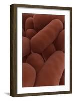 Microscopic View of Bacteria-null-Framed Art Print