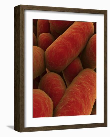 Microscopic View of Bacteria-null-Framed Art Print