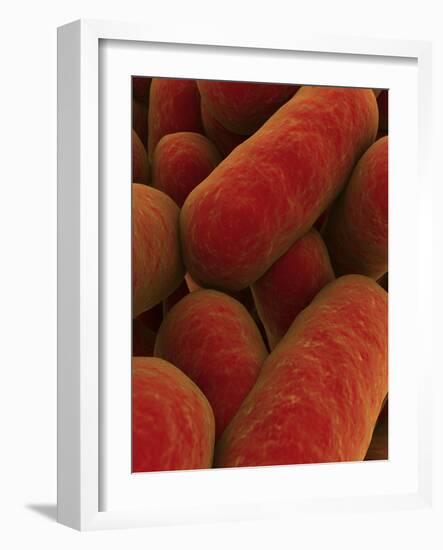 Microscopic View of Bacteria-null-Framed Art Print