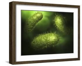 Microscopic View of Bacteria-null-Framed Art Print