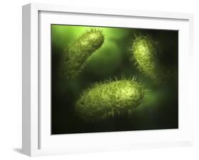 Microscopic View of Bacteria-null-Framed Art Print