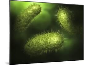 Microscopic View of Bacteria-null-Mounted Art Print