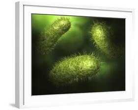 Microscopic View of Bacteria-null-Framed Art Print