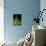 Microscopic View of Bacteriophage-Stocktrek Images-Stretched Canvas displayed on a wall