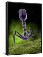 Microscopic View of Bacteriophage-Stocktrek Images-Framed Photographic Print