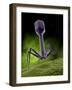 Microscopic View of Bacteriophage-Stocktrek Images-Framed Photographic Print