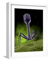 Microscopic View of Bacteriophage-Stocktrek Images-Framed Photographic Print