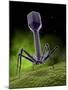 Microscopic View of Bacteriophage-Stocktrek Images-Mounted Photographic Print