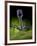 Microscopic View of Bacteriophage-Stocktrek Images-Framed Photographic Print