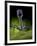 Microscopic View of Bacteriophage-Stocktrek Images-Framed Photographic Print