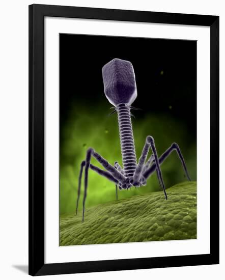 Microscopic View of Bacteriophage-Stocktrek Images-Framed Photographic Print